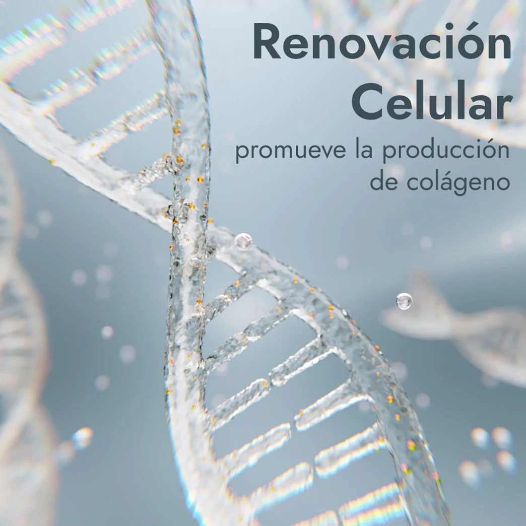 Imagen del producto 8